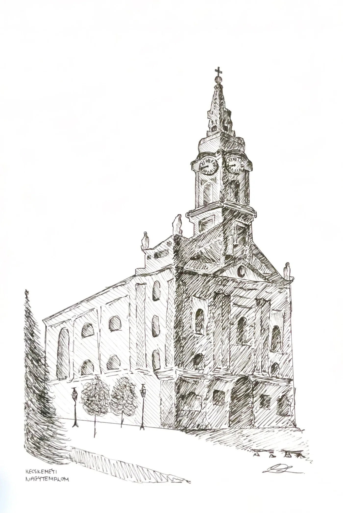 Festő neve